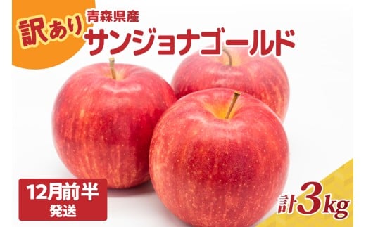 訳あり りんご3kg 程度【2025年12月前半発送】サンジョナゴールド 青森|不揃いリンゴ青森県五所川原市13000果物・フルーツりんご・梨