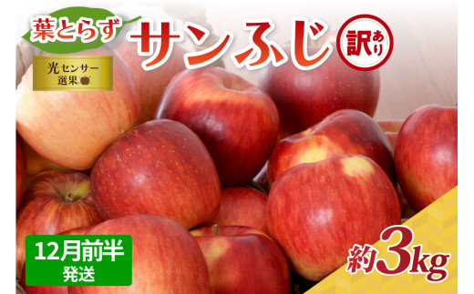 【2025年12月前半発送】【訳あり】青森県産葉とらずサンふじりんご約3kg青森県五所川原市13000果物・フルーツりんご・梨