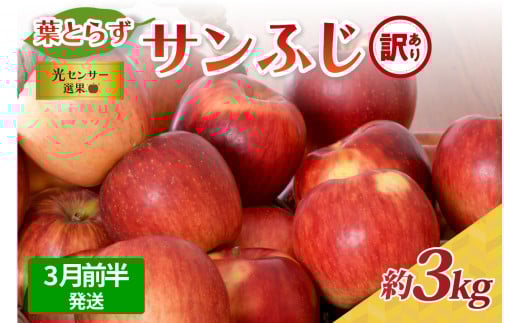 【2026年3月前半発送】【訳あり】青森県産葉とらずサンふじりんご約3kg青森県五所川原市13000果物・フルーツりんご・梨