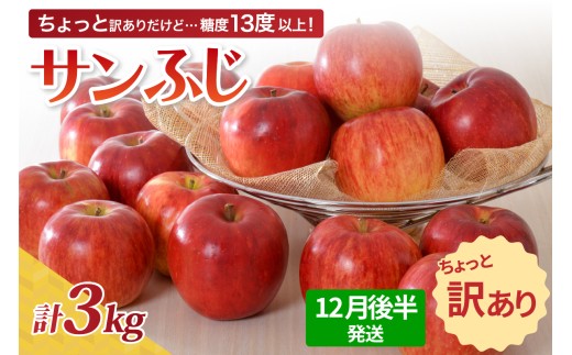 【先行受付】【2025年12月後半発送】 【訳あり】 りんご 約3kg サンふじ 青森産青森県五所川原市14000果物・フルーツりんご・梨