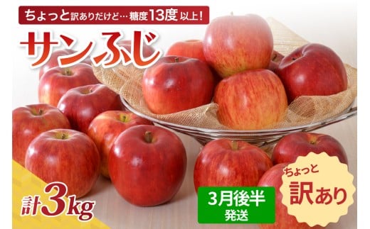【先行受付】【2026年3月後半発送】 【訳あり】 りんご 約3kg サンふじ 青森産青森県五所川原市14000果物・フルーツりんご・梨