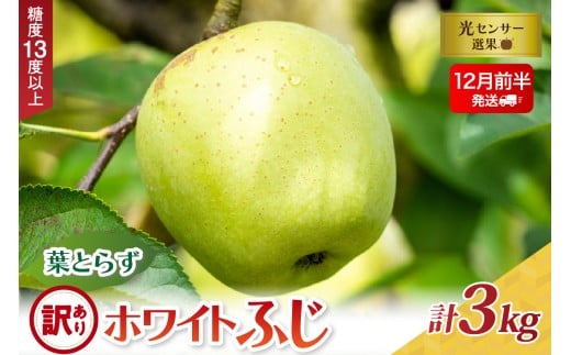 【2025年12月前半発送】【訳あり】葉とらずホワイトふじ3kg青森県五所川原市14000果物・フルーツりんご・梨