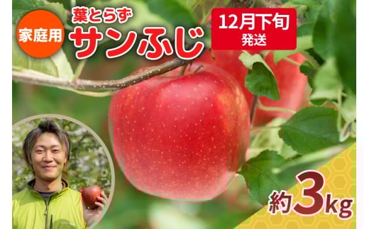 【2025年12月下旬発送】りんご 3kg 程度 葉とらず サンふじ 11月 12月 家庭用 青森産 りんご ふじ 【 サンふじりんご 葉とらずりんご リンゴジュースやお菓子作りにも くだものフルーツ果物林