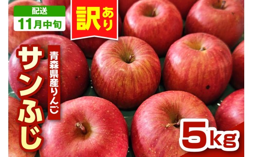 【2025年11月中旬発送】りんご 青森 サンふじ 5kg 程度 《 訳あり 》 農家直送 サンフジ 青森県 五所川原市 傷 キズ ワケアリ 林檎 リンゴ apple青森県五所川原市13000果物・フルーツりんご・梨