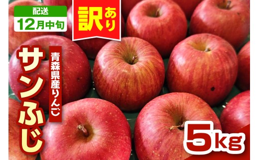 y2025N12{z񂲁@X Tӂ 5kg x s 󂠂 t _ƒ TtW X ܏쌴s  LY PA ь S appleX܏쌴s13000ʕEt[c񂲁E