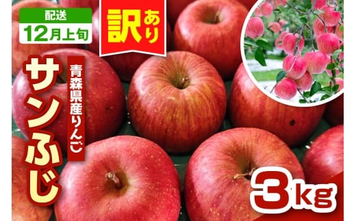 y2025N12{z񂲁@X Tӂ 3kg x s 󂠂 t _ƒ TtW X܏쌴s  LY PA ь S appleX܏쌴s11000ʕEt[c񂲁E