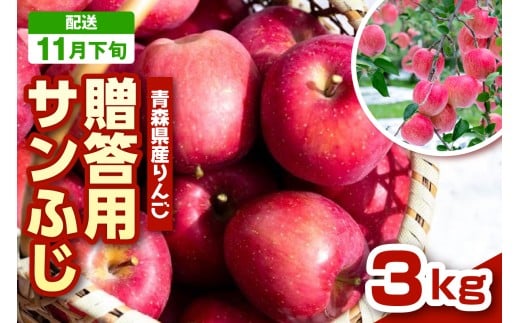 y2025N11{z񂲁@X Tӂ 3kg x s p t _ƒ TtW X ܏쌴s  v[g 蕨 ь S appleX܏쌴s16000ʕEt[c