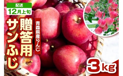 【2025年12月上旬発送】りんご 青森 サンふじ 3kg 程度 《 贈答用 》 農家直送 サンフジ 青森県 五所川原市 贈答 プレゼント 贈り物 林檎 リンゴ apple青森県五所川原市16000果物・フルーツりん