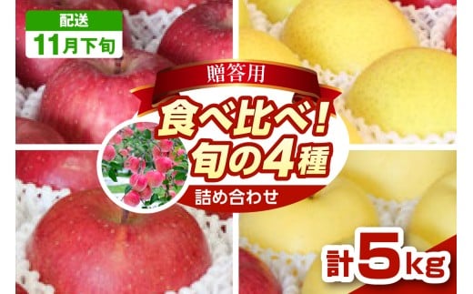y2025N11{z񂲁@X Hה 4i 5kg x p X _ƒ  TtW X ܏쌴s  Zbg lߍ킹 ь S appleX܏쌴s19000ʕEt[
