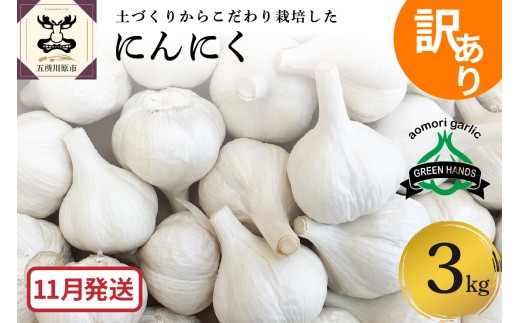 【11月発送】 訳あり 青森県産 にんにく3kg(1kg×3)青森県五所川原市27000野菜・きのこその他 野菜