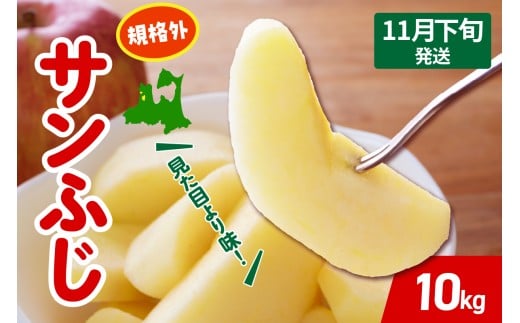 【2025年11月下旬発送】 りんご サンふじ 約 10kg 規格外 程度 青森 五所川原 不揃い サン ふじ りんご規格外青森県五所川原市22000果物・フルーツりんご・梨