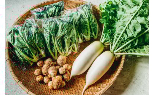 【自然栽培】冬野菜3種セット(大) 下北春まな 大根 里芋奈良県下北山村10000野菜・きのこその他 野菜