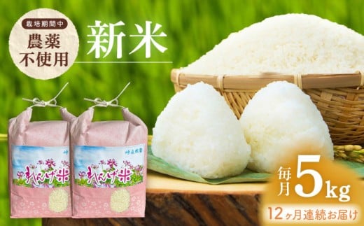 yߘa7NxāzyS12ցz͔|Ԓ_sgp _Ƃ̂ 5kg×12 ycRmz [EA07]茧g162000āEp