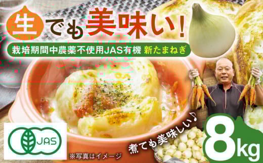 yӂ邳Ɣ[Łzy2026N4菇zys\zJASF L@͔| Vʂ˂ 8kgySΉz [DA04]茧g16000؁Êʂ˂E˂