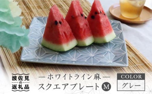 ygāzzCgC XNGA v[g M O[ H M yĖFqz [FE39]茧g18000G݁EpiHEOX