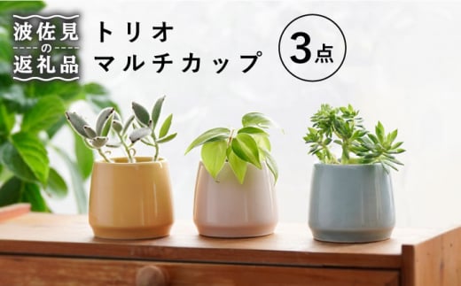 ygāzgI }`Jbv H M yڎRz [RC31]茧g14000G݁EpiHEOX