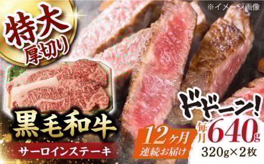 y12ցzT[C Xe[L 640gi320g ×2j a јa  yt@[VVz [WF34]   T[CXe[L ē ֒茧g450000