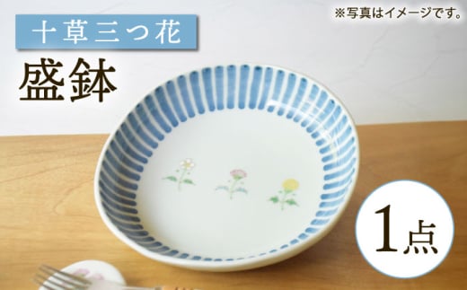 ygāz\ O yz [GB54]茧g21000ߗށEiEH|ȋ iEH|i