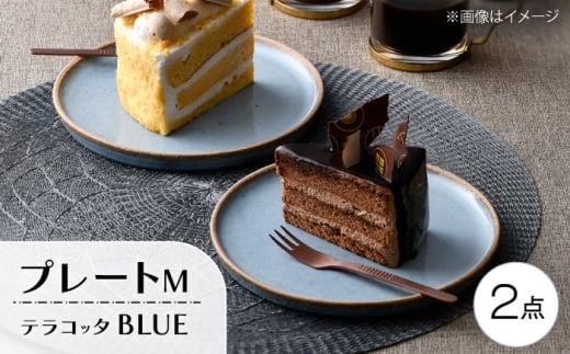 ygāzeRb^EBLUE v[gM 2ZbgyGqz [QB67]茧g25000G݁EpiHEOX