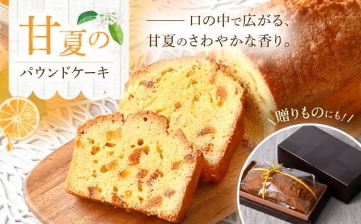 yg͂S܂閡zÉẴpEhP[L yȂَ̂qz [SG01]茧g12000َqEXC[cĂَq