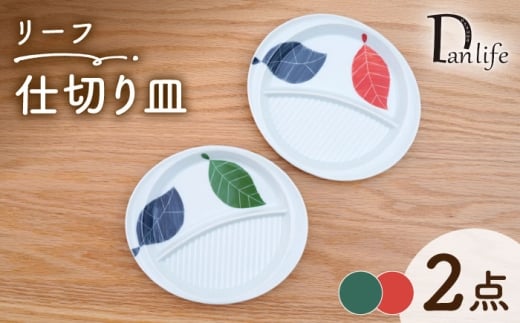 ygāzd؂M [t 2FZbgycz [PB229]茧g24000G݁EpiHEOX