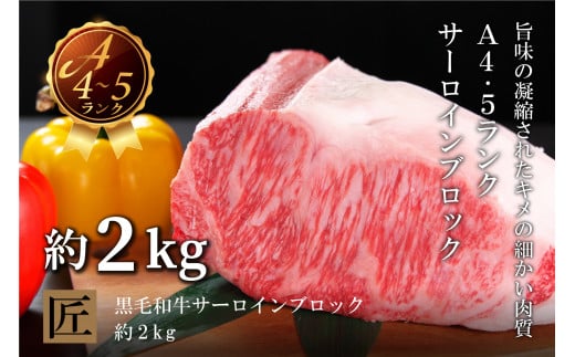 国産!!  特選牛サーロイン塊(約2kg)香川県善通寺市115000肉牛肉
