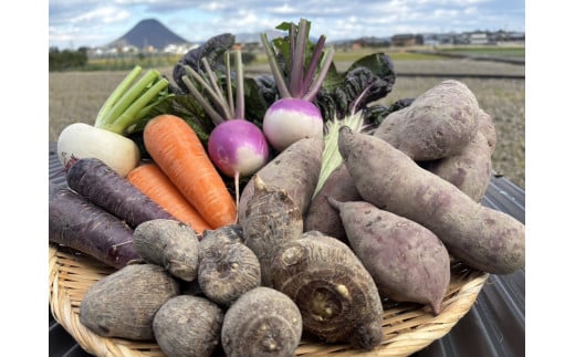 (11月〜お届け)無農薬??無化学肥料??無除草剤 冬のお野菜セット(旬の有機野菜5〜10種類前後)香川県善通寺市13000野菜・きのこその他 野菜