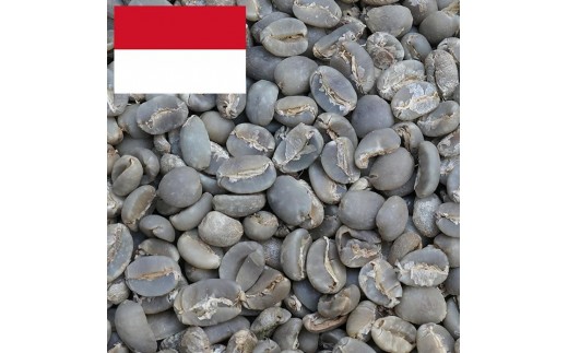 【シティロースト】コーヒー豆 トラジャ カロシG1 coffeebeans & sweets Antiqueによるこだわり焙煎豆香川県善通寺市9000お茶・飲料コーヒー・紅茶