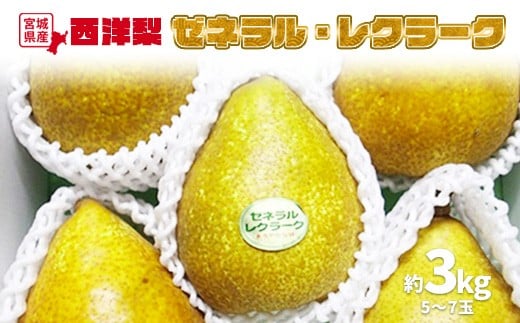 y\Eʌz EtX 3kg 5`7  ь S n Tӂ ʕ  t[c fU[g ӂ邳Ɣ[ {錧  Ύsy1510101z{錧Ύs13000