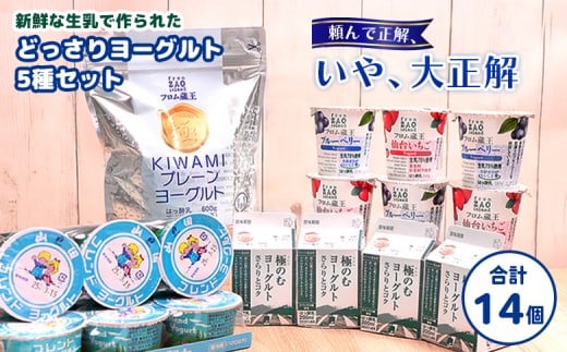 フロム蔵王 どっさりヨーグルト 5種セット| ヨーグルト 飲むヨーグルト 食べ比べ 国産 健康 オンライン 申請 ふるさと納税 宮城県 白石 白石市 山田乳業 お取り寄せ 詰合せ【0114601】宮城県