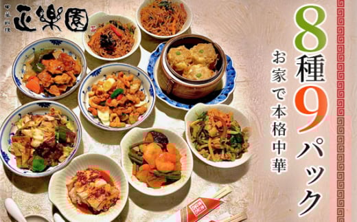 No.065 【正楽園】お家で本格中華 彩り中華三昧 満腹セット 8種9パック千葉県野田市22000鍋セット・総菜・加工食品総菜