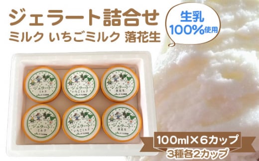 No.146 WF[gli~N/~N/Ԑj ^ 100gp f ACX ttcs12000َqEXC[cACXEWF[g