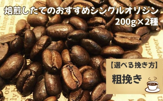 No.170-02 焙煎したてのおすすめシングルオリジン 200g×2種(粗挽き)千葉県野田市24000お茶・飲料コーヒー・紅茶