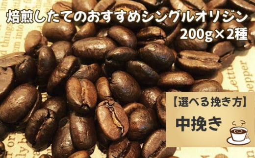 No.170-03 焙煎したてのおすすめシングルオリジン 200g×2種(中挽き)千葉県野田市24000お茶・飲料コーヒー・紅茶