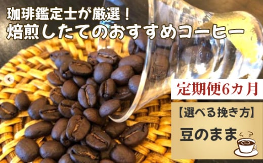 No.178-01 【毎月定期便6回】珈琲鑑定士が厳選!焙煎したてのおすすめコーヒー(豆)千葉県野田市130000お茶・飲料コーヒー・紅茶