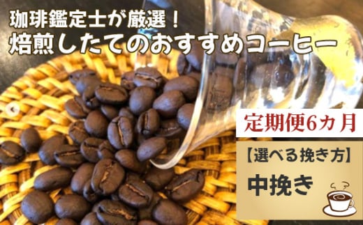 No.178-03 【毎月定期便6回】珈琲鑑定士が厳選!焙煎したてのおすすめコーヒー(中挽き)千葉県野田市130000お茶・飲料コーヒー・紅茶