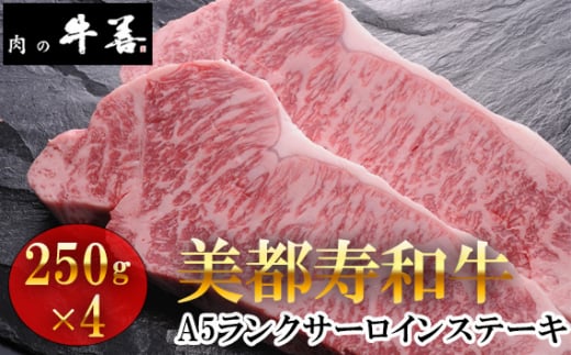 No.289 牛善特選 美都寿和牛 サーロインステーキ A5ランク 250g×4枚 / 牛肉 ブランド牛 自社ブランド 千葉県 特産千葉県野田市56000肉牛肉