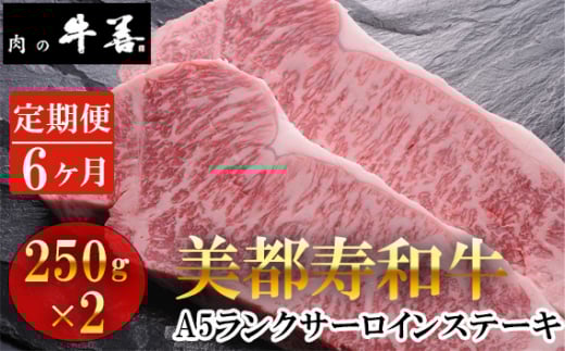 No.293 【毎月定期便6回】美都寿和牛 サーロインステーキ 2枚 / 牛肉 ブランド牛 自社ブランド 千葉県 特産千葉県野田市170000肉牛肉
