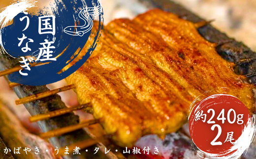 加須の名店うなぎ荒川の『国産うなぎ蒲焼 2尾と鯉のうま煮』 滋養食セット埼玉県加須市33000魚介・海産物うなぎ