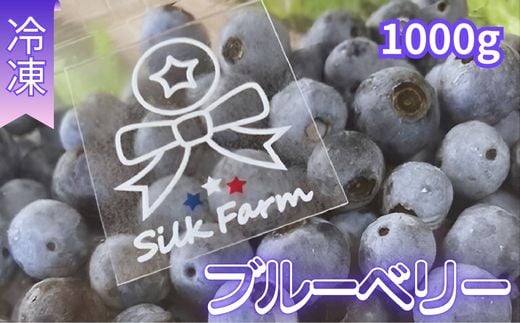 シルクファーム産 粒ぞろいの冷凍ブルーベリー1000g(500g×2パック)埼玉県加須市15000果物・フルーツその他 果物・フルーツ