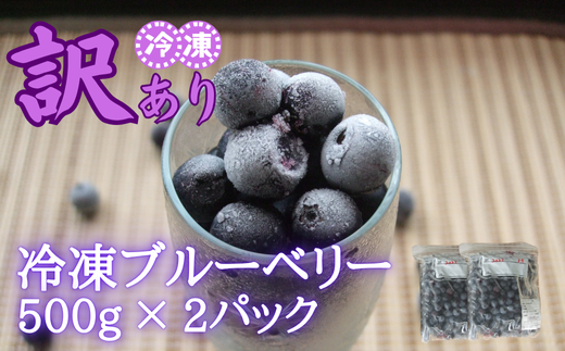【訳あり】シルクファーム産 冷凍ブルーベリー 1000g(500g×2パック)埼玉県加須市15000果物・フルーツその他 果物・フルーツ