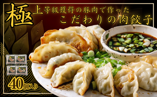 極上等級獲得の豚肉で作った拘りの肉餃子【希少豚!花咲豚スーパーナイン100%使用】:10個入× 4パック埼玉県加須市19000鍋セット・総菜・加工食品総菜