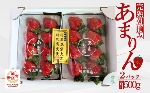 【先行受付】「埼玉農業大賞特別賞」を受賞! 完熟朝摘み あまりん 250g×2 (8粒〜15粒) 【苺】 イチゴ おおきい スイーツ あかい 果物 ふるさと納税 いちご うまい フルーツ 期間限定 人