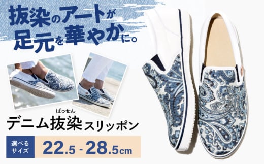 C fji΂jXb| 23.5cm C t@bV V[Y  yCY[ Y fB[X LRs/RzH [BADS011]LRs74000ߗށEiEH|iCE