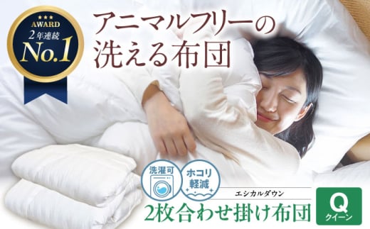 日本製 洗える 人工羽毛布団 2枚合わせ掛け布団 クイーン エントリーモデル 広島県福山市/イシケン株式会社 2枚組 羽毛布団 羽毛ふとん 肌掛け オールシーズン 掛布団 寝具 アレルギー対策
