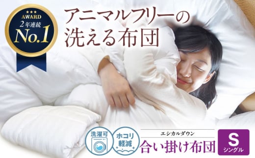 zc { 􂦂 lHHѕzc |zc VO Gg[f LRs/CVP H zc ӂƂ |zc |zc  y { t H Q AM[΍