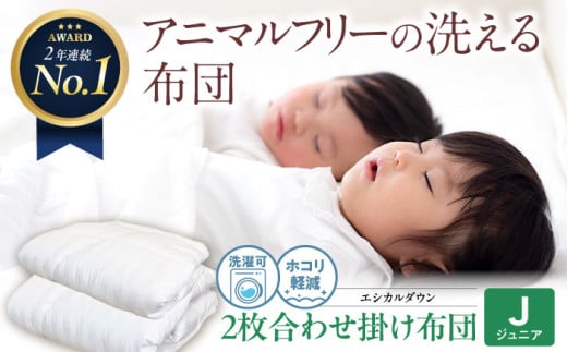《日本製》洗える 人工羽毛布団 2枚合わせ掛け布団 〈ジュニア〉人工羽毛 エントリーモデル 広島県福山市/イシケン株式会社 2枚組 羽毛布団 羽毛ふとん 肌掛け 日本製 オールシーズン 掛布