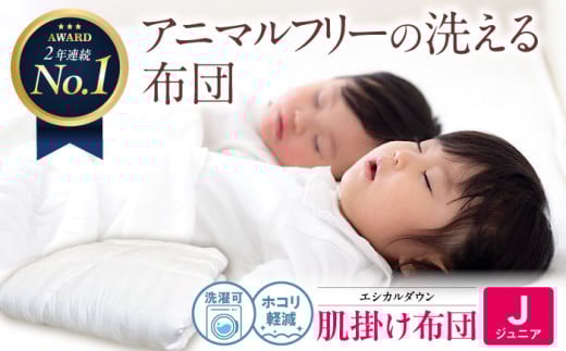《日本製》洗える 人工羽毛布団 肌掛け布団 〈ジュニア〉人工羽毛 エントリーモデル 広島県福山市/イシケン株式会社 布団 掛け布団 掛けふとん 日本製 掛布団 薄手 軽い 春 夏 寝具 アレル