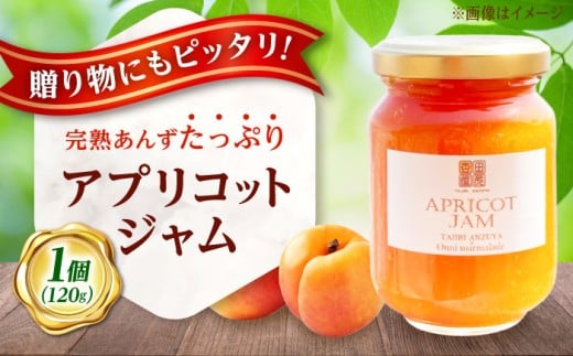 ジャム 田尻あんずのアプリコットジャム 120g 1個入り おすすめ 人気 ランキング 国産 手作り 濃厚 甘さ控えめ パン トースト ヨーグルト クラッカー スコーン アイスクリーム デザート スイ