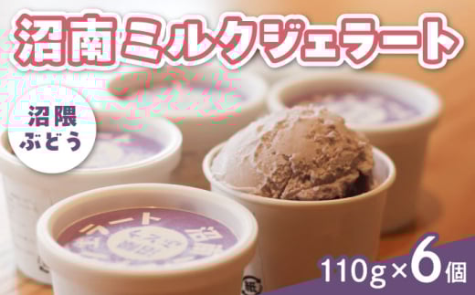 アイス 沼南ミルクジェラート 沼隈ぶどう6個 アイス アイスクリーム ジェラート デザート スイーツ ぶどう マスカット ニューベリーA 果汁 ご当地 グルメ お取り寄せ 冷凍 贈答 贈り物 ギ